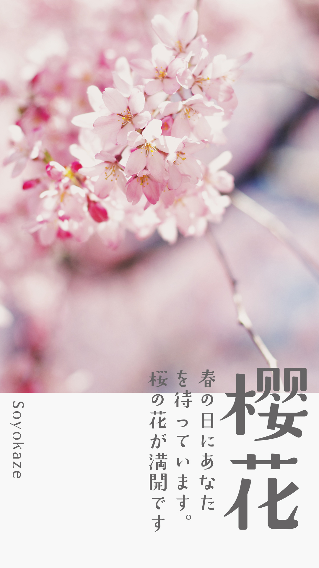 GEETYPE-DS微风体,日语字体,LOGO字体，海报字体展示
